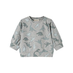 Dinosaurbluse i lysegrå med lange ærmer og allover-print