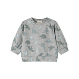 Dinosaurbluse i lysegrå med lange ærmer og allover-print