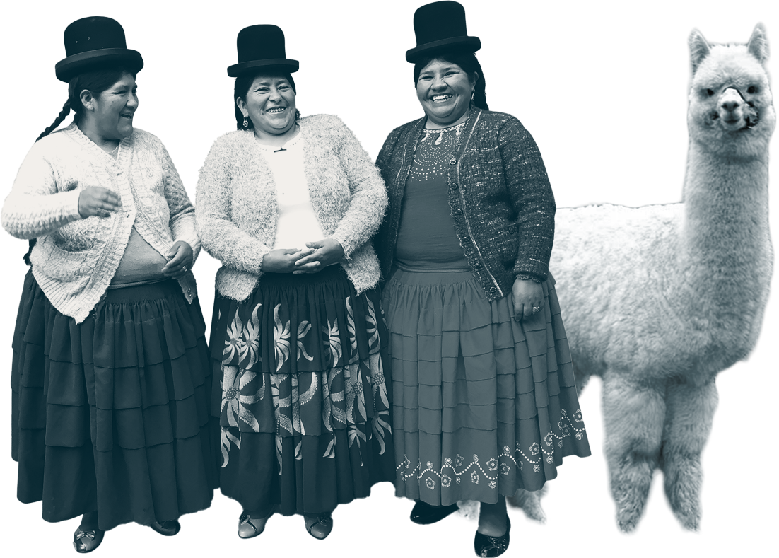 Tre kvinder i traditionelle bolivianske dragter ved siden af en alpaka